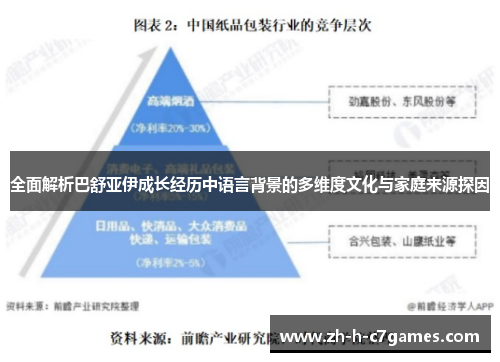 全面解析巴舒亚伊成长经历中语言背景的多维度文化与家庭来源探因