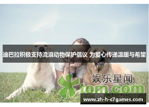 迪巴拉积极支持流浪动物保护倡议 为爱心传递温暖与希望 迪巴拉积极支持流浪动物保护倡议 为爱心传递温暖与希望