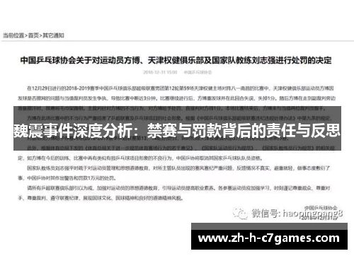 魏震事件深度分析：禁赛与罚款背后的责任与反思