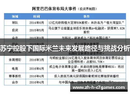 苏宁控股下国际米兰未来发展路径与挑战分析